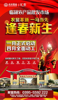 臨潁農(nóng)貿(mào)批發(fā)市場廣告設計與制作全攻略