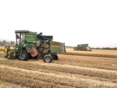 昔日生活苦，今天美滋滋——記襄城縣范湖鄉凹郭村王清坤的農機租賃致富路